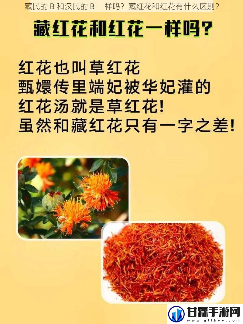 藏民的 B 和汉民的 B 一样吗？藏红花和红花有什么区别？