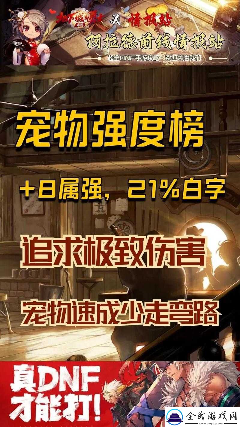 探索嘣-Bong-怪力猫宠物世界-解析宠物稀有度的神秘面纱及关键所在