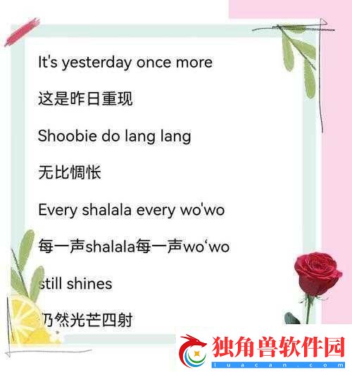 昨日影像：时光的回忆与反思