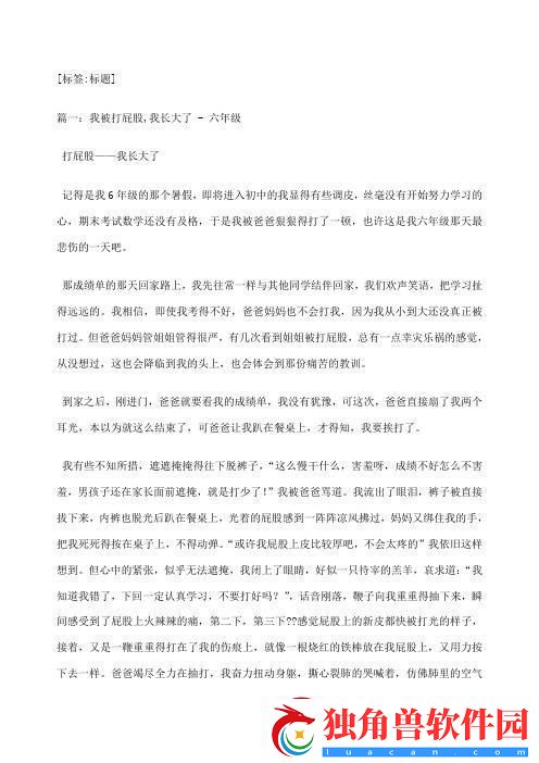 败笔下的科技狂欢：随意处罚下的创新逆袭