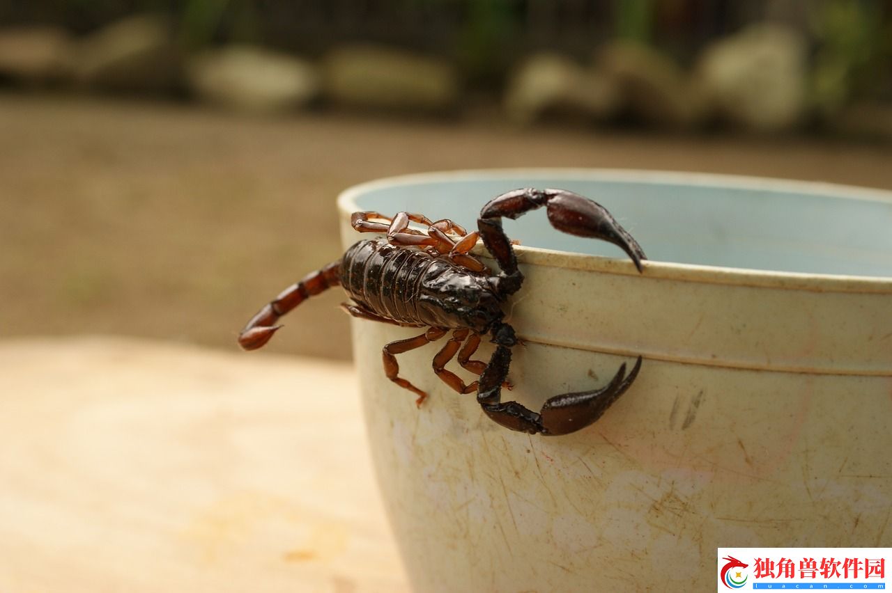 变异虫小游戏的策略与乐趣