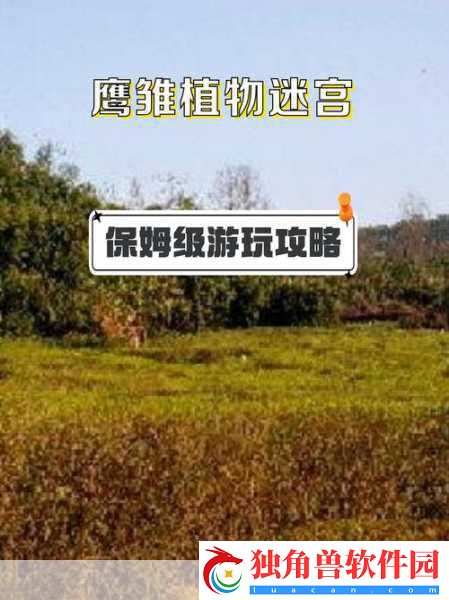 迷宫探险新纪元