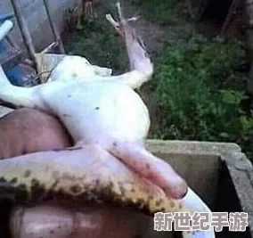 阴痉插入视频引发热议-专家呼吁加强对相关内容的监管与教育-保护青少年心理健康和网络安全