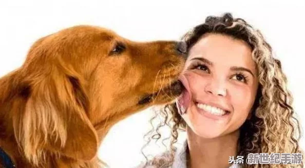 狗儿长大了1—40：网友称赞狗狗成长中可爱的变化-纷纷分享养狗经验与感受-让人倍感温馨和愉悦！