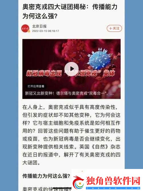 AA-区和-VA-区之间是黑边吗：揭秘谜团