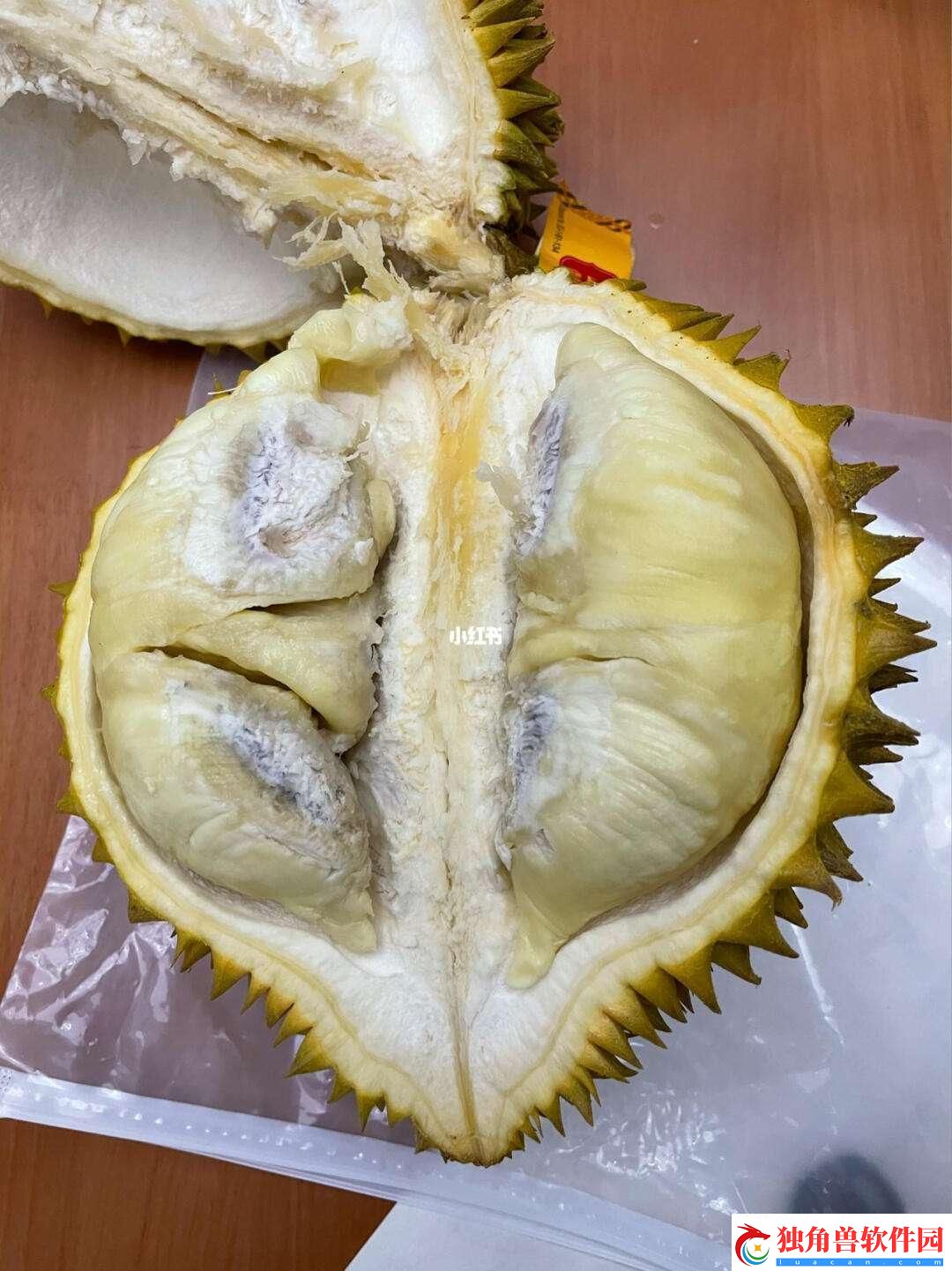 榴芒色的奇遇：忘返503的遐想