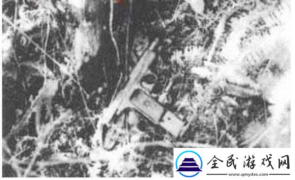 揭秘-51-国产黑料事件：国产软件的灰色往事