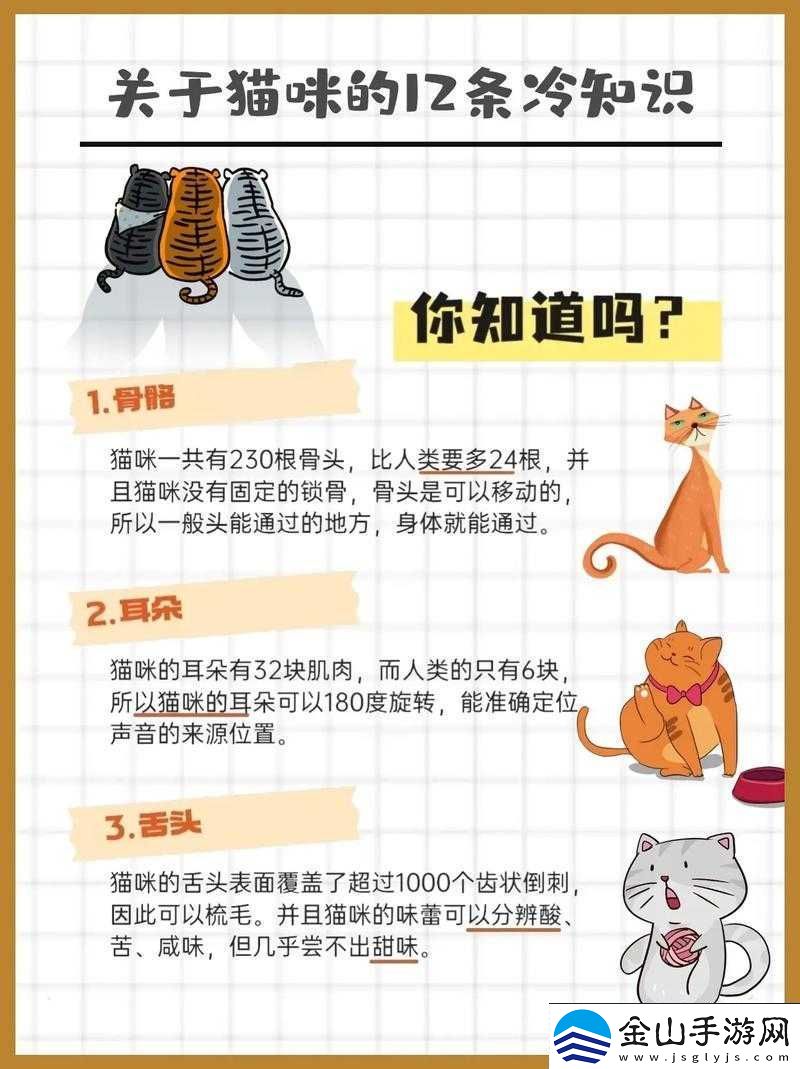 泡泡女神升星必备材料获取攻略大全：从新手到进阶的全面指南