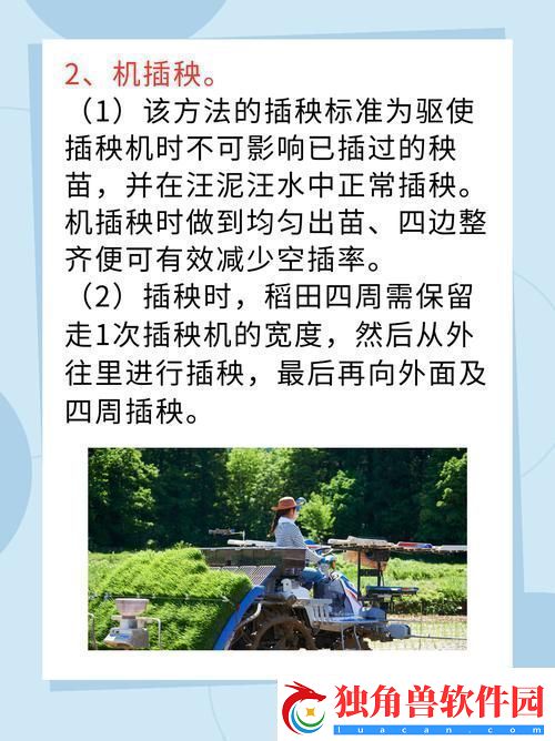 夫妻插秧38种方法图片大全-网友：用心和爱编织田间情