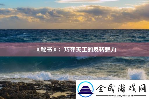 秘书：巧夺天工的反转魅力