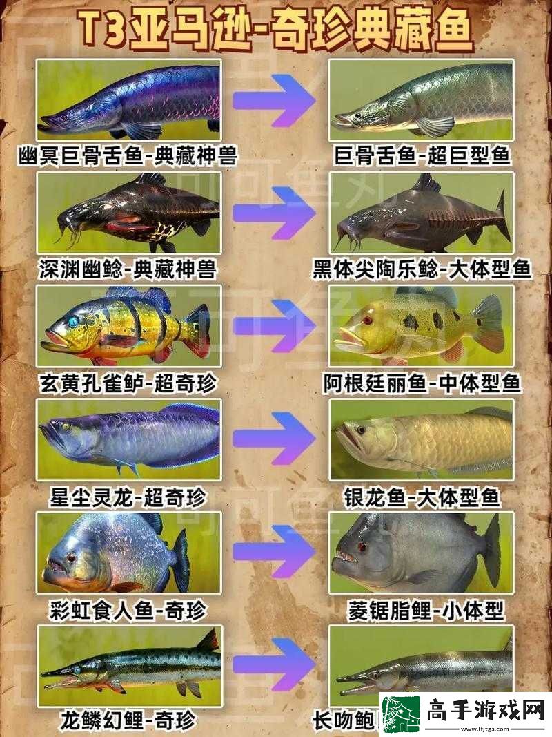 尼尔人工生命鱼类种类及价格概览：涵盖多种珍稀鱼类介绍与价格信息