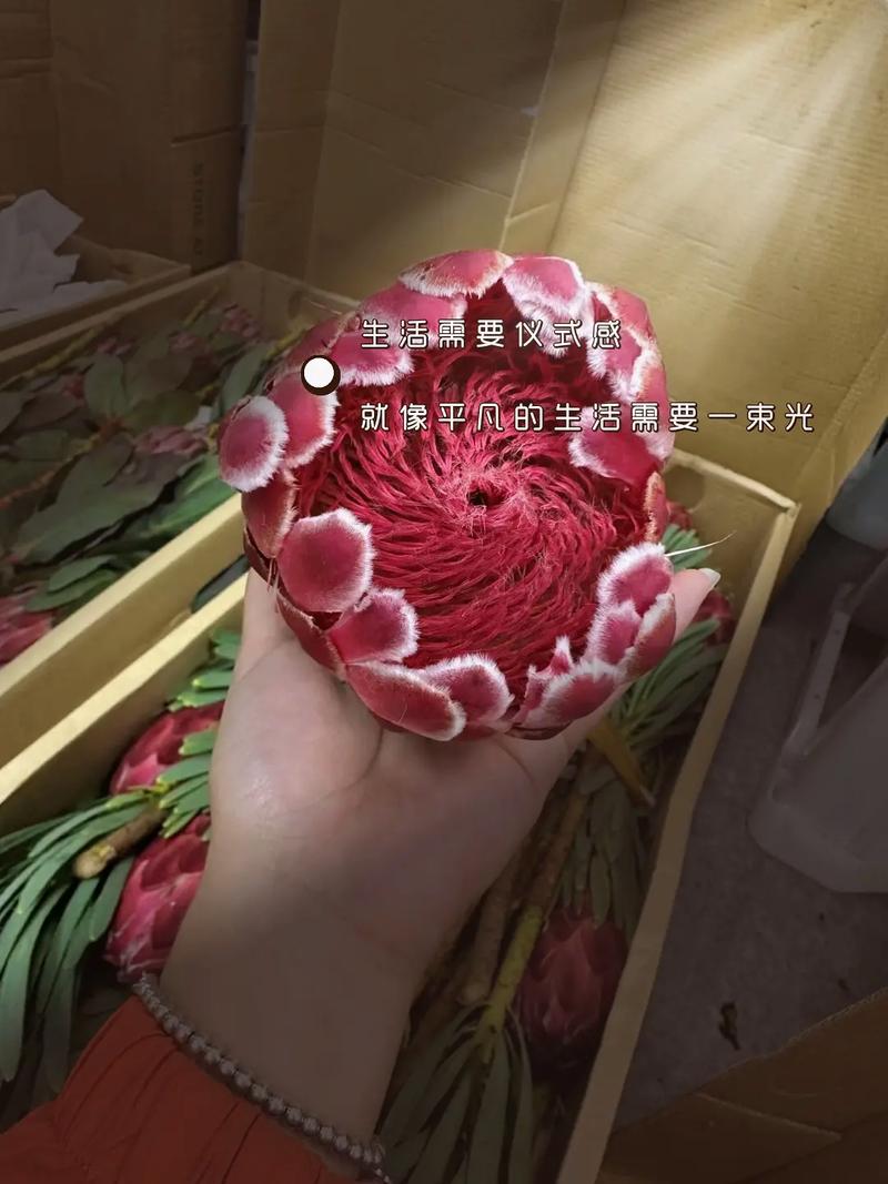 用玉器养大的公主花穷：财富与幸福的悖论！