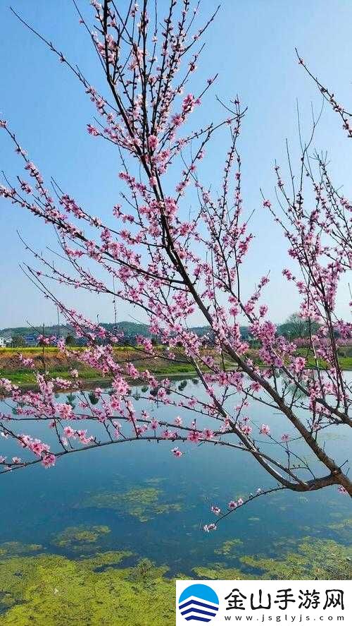 桃花洞口已是溪水潺潺：春景如画