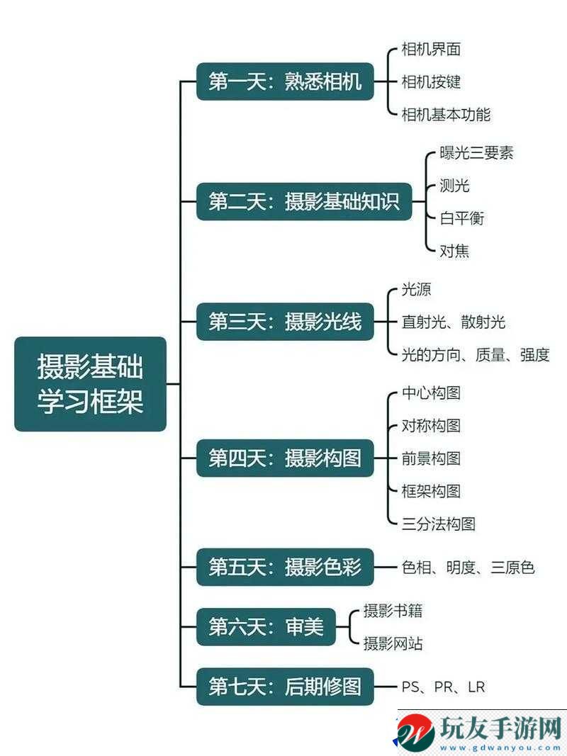 摄影艺术入门指南：从零基础到摄影高手的成长之路！
