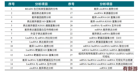 lubuntu最佳线路检测：全球热门词汇排名及分析