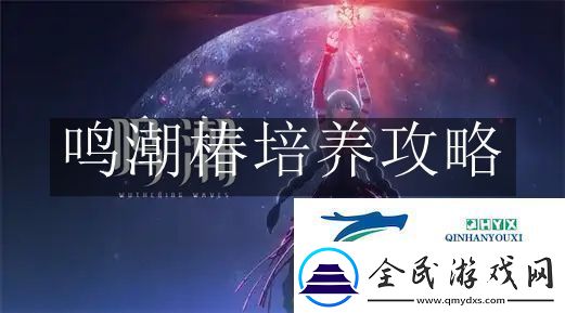鸣潮椿怎么培养鸣潮椿培养攻略