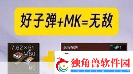 暗区突围莫辛子弹怎么选莫辛纳甘子弹选择-成为战场王者的关键