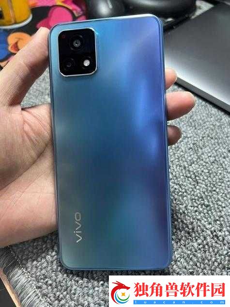 Y31-成色鉴定：全面解析与评估