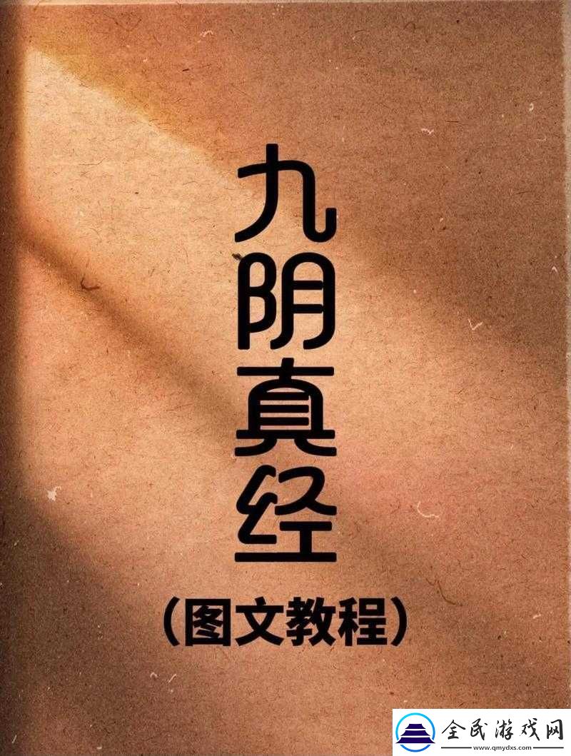 九阴真经-X88888：绝世武功秘籍
