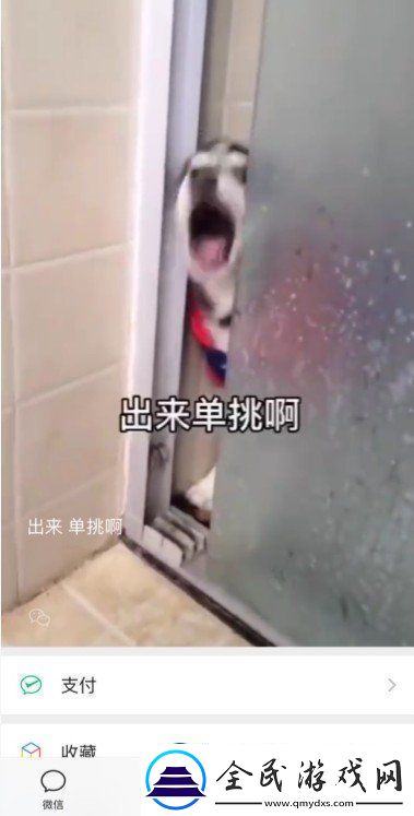 微信8.0状态背景哈士奇下载