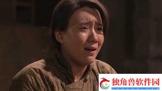老农民里的老干棒媳妇：农村女性的坚韧与担当