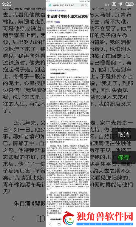 深入浅出TXL-金银花笔趣：精彩内容不容错过