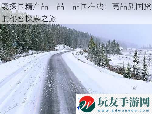 窥探国精产品一品二品国在线：高品质国货的秘密探索之旅