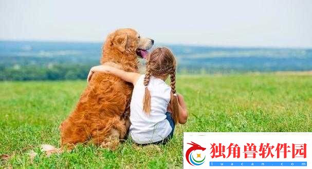 人ZOOM狗狗：可爱宠物的日常