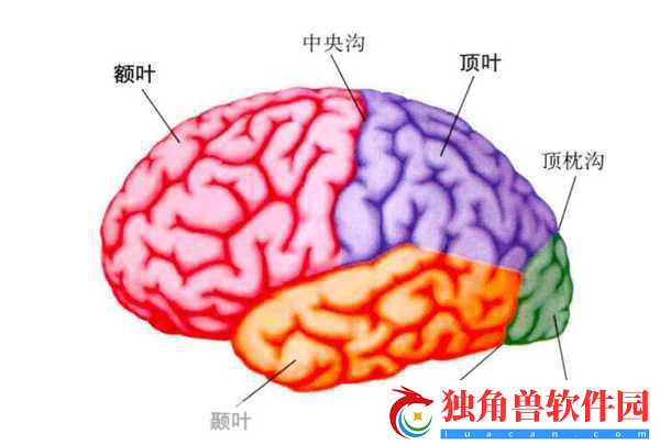 分裂之门2震撼来袭-三大派系能力全揭秘！