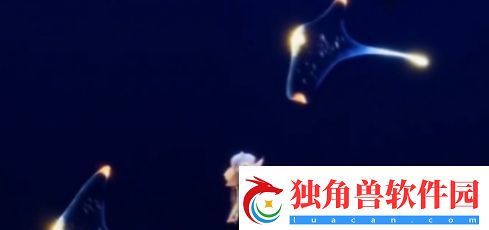 光遇坠落之光全收集攻略
