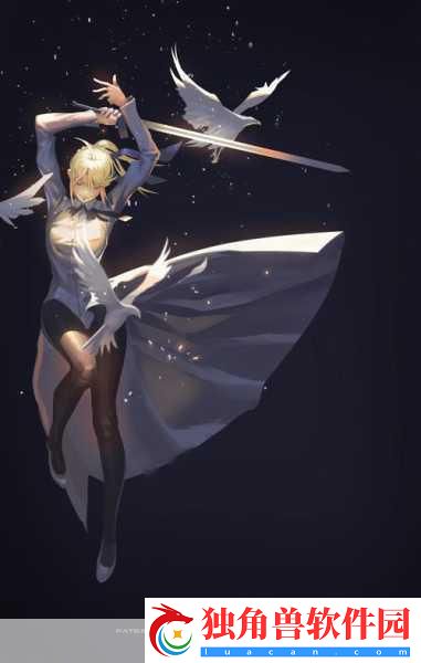 Fate/stay-night复刻版倒计时盛宴-女主风采插图大赏！