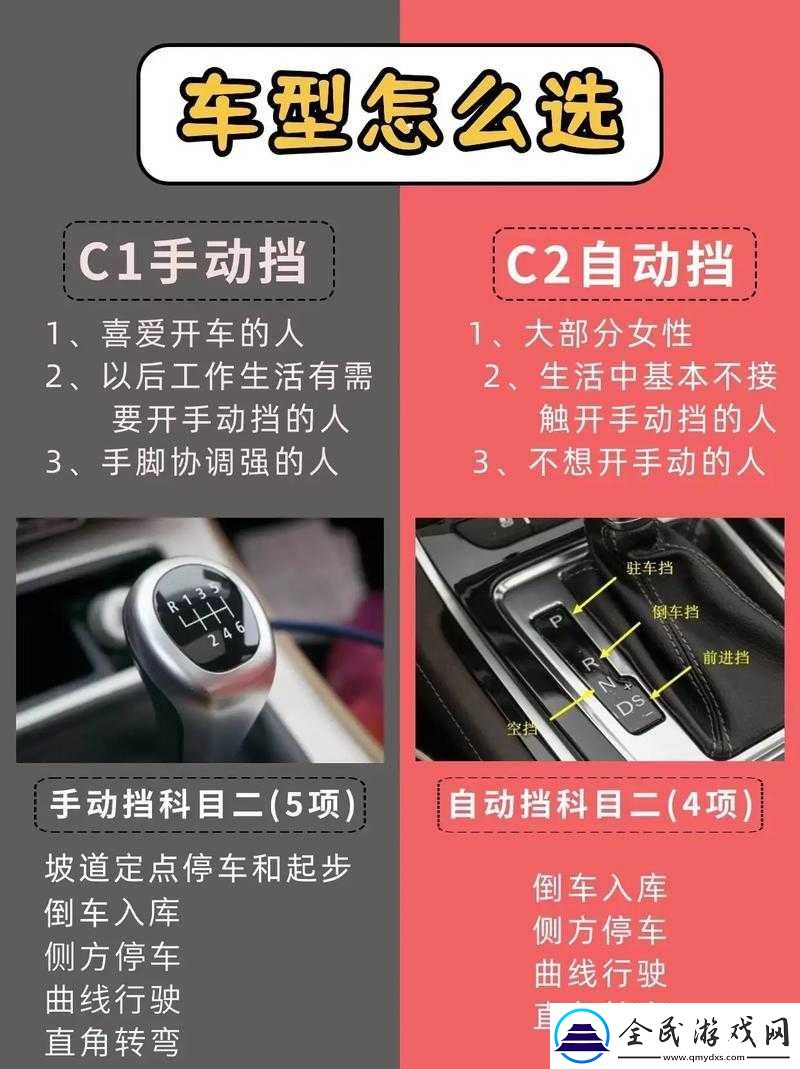 选我还是选它