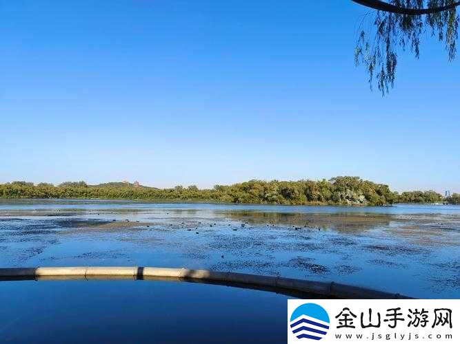 全家一起来黄梅徐海：畅享美好时光