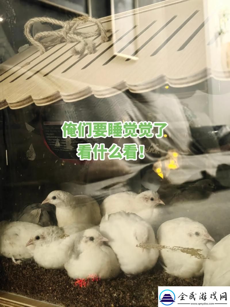 睡觉握雏鸡一晚-科技界炸了！