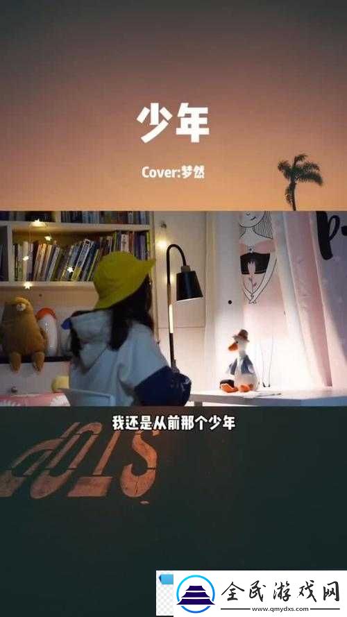 少年啊-bgm-房东太太是谁唱的：房东太太唱出少年的心声