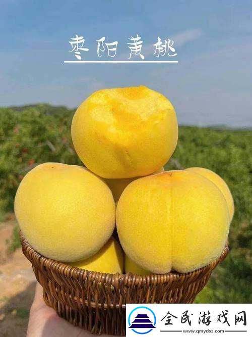 9612黄桃站手机据说可以让你告别烦恼：真的吗
