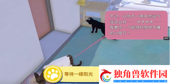 小猫咪大城市等待一缕阳光任务攻略