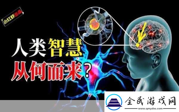 9.1.gbapp终被网友发现