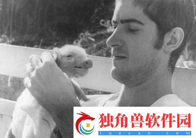 畜禽界红-MOUSE：崛起的搞笑新星