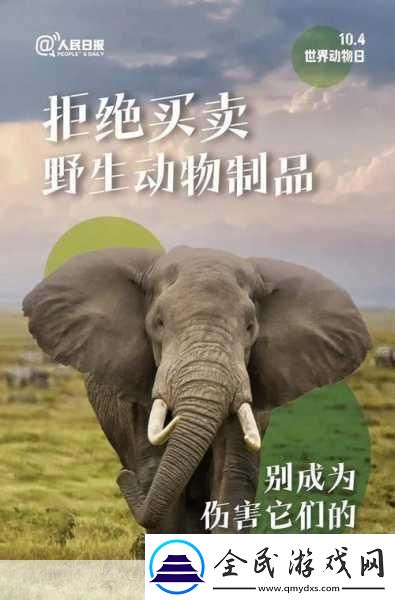 人与畜禽共性关系的重要性意义-1.-人与畜禽共生关系对生态平衡的影响