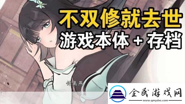 不双修就去世补丁安装全攻略及游戏玩法深度解析