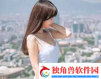 朝阳群众-51cgfun-最新-2024-相关情况