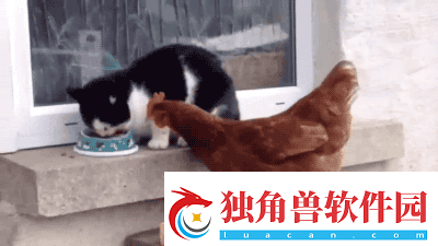 第一次穿高跟鞋的你-动图-在地铁上脱鞋看我怎么治你
