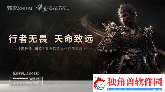 黑神话-悟空跨界联动-联名服装京东独家首发！