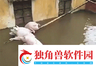 第一次穿高跟鞋的你
