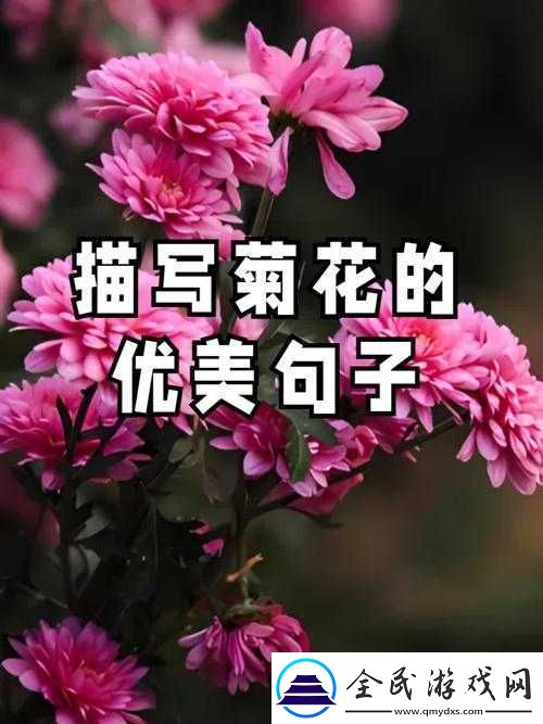 啊用力嗯轻一点：关于它的探讨