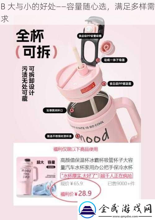 B大与小的好处——容量随心选满足多样需求