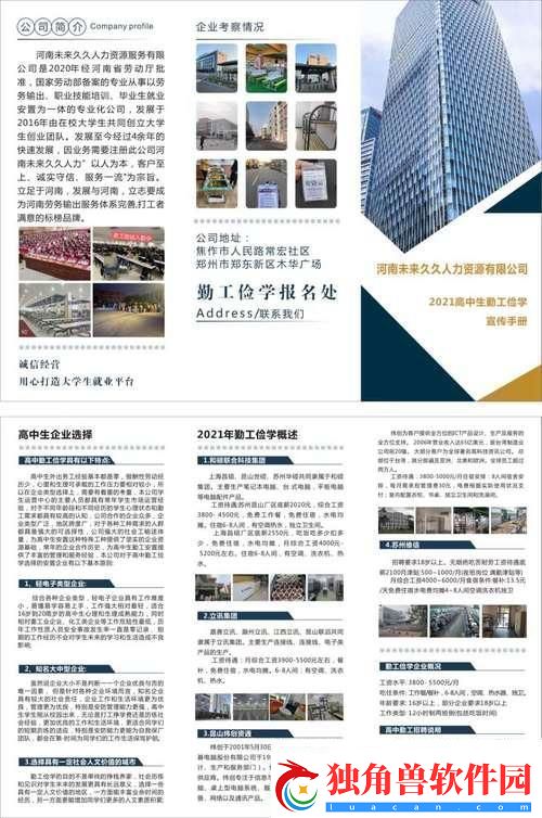 996算啥探索九九九人力公司官背后的民热辣点评