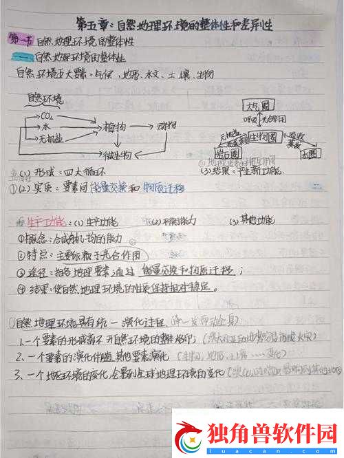 精品一区二区的区别：特色与差异解析