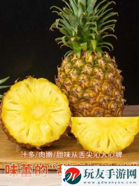 菠萝视频-1.-探索菠萝视频：发现更多精彩内容的秘密！